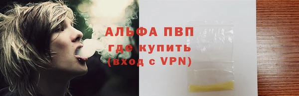 apvp Инта