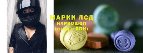 apvp Инта