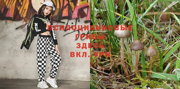 эйфоретик Иннополис