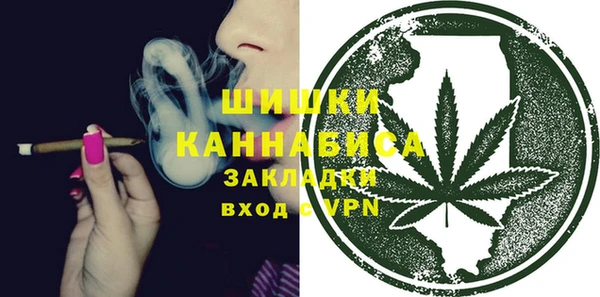 apvp Инта