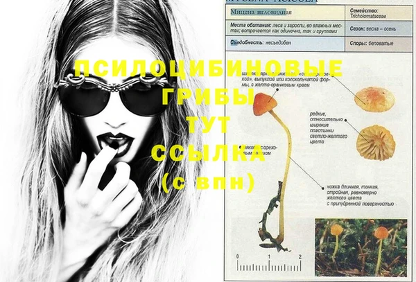 эйфоретик Иннополис